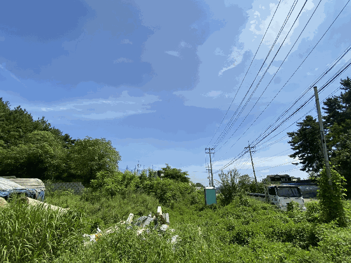 사진 25