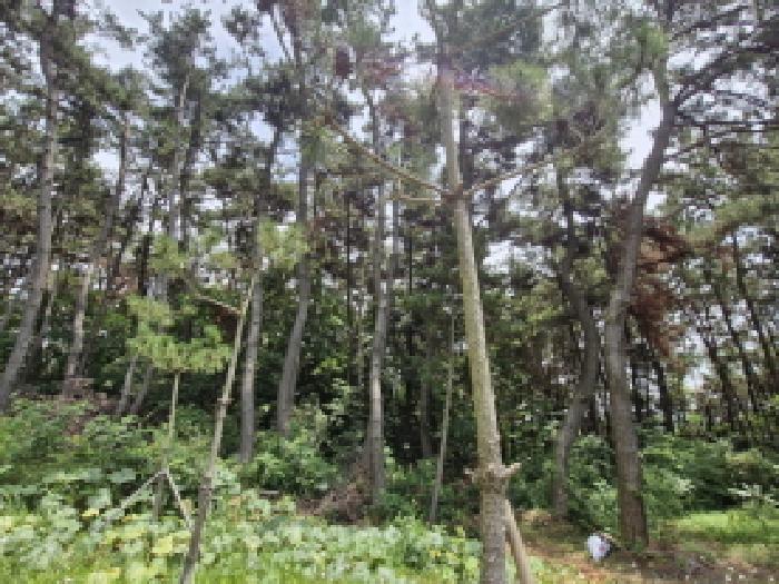 사진 3
