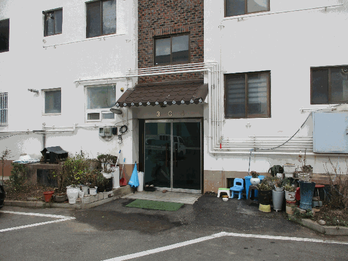 사진 3