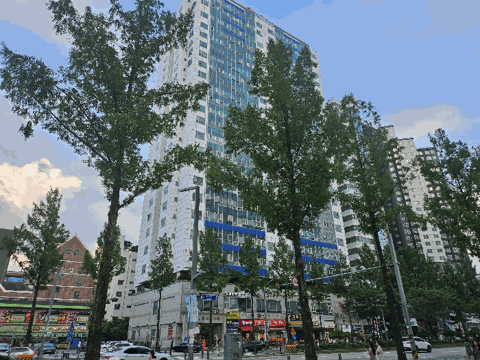 사진 14
