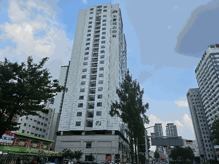 사진 15