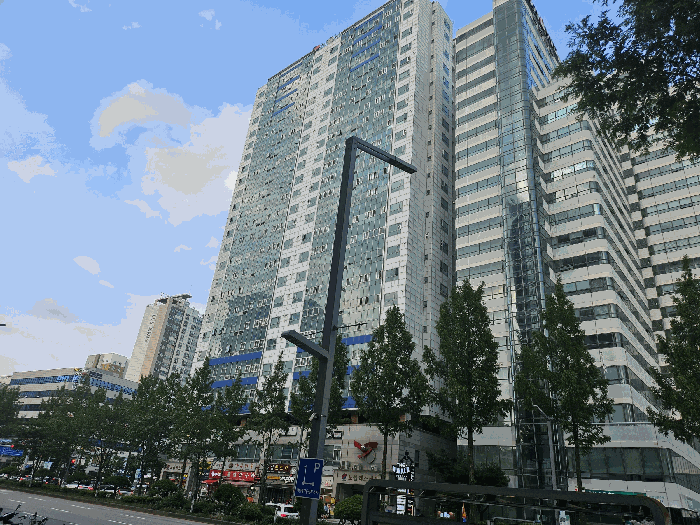 사진 19