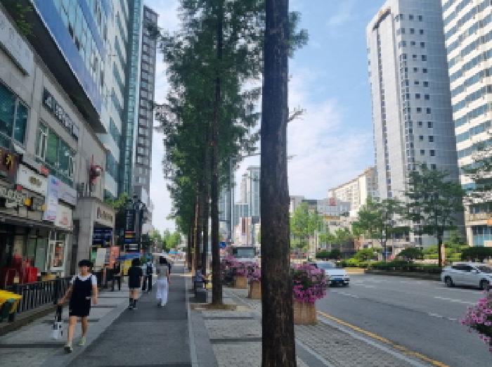 사진 9