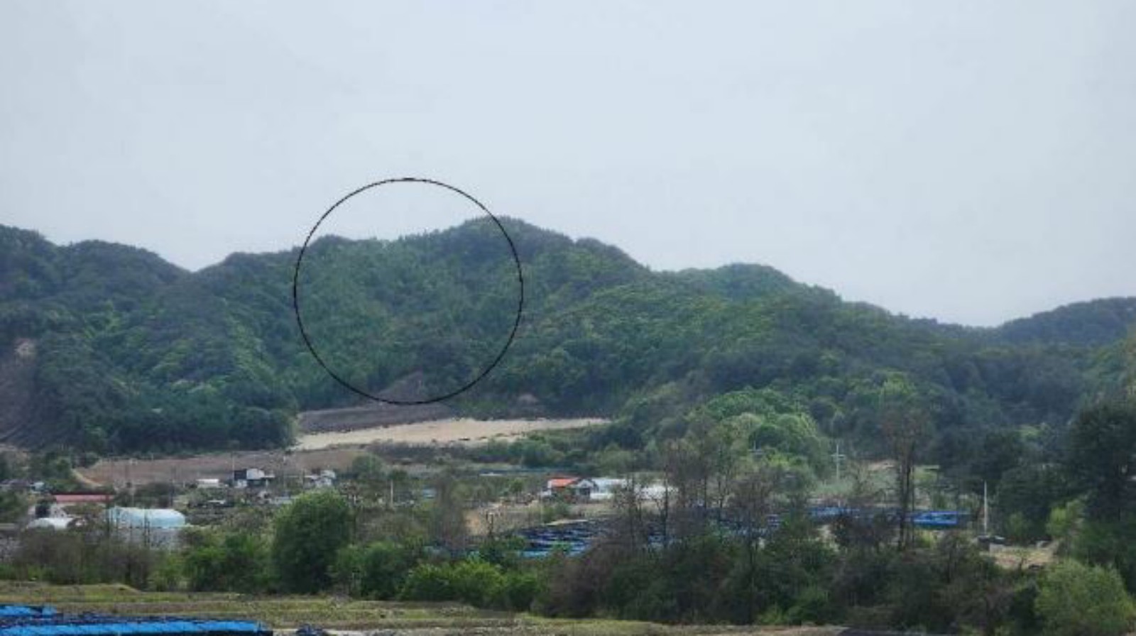 사진 1