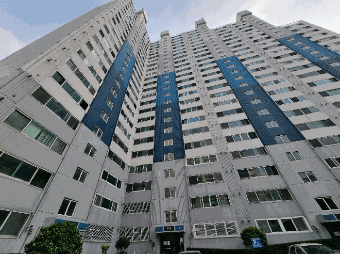 사진 11