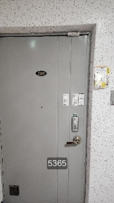 사진 17