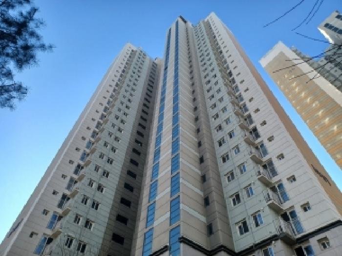 사진 1