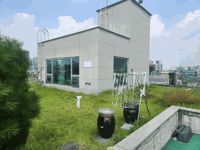 사진 10