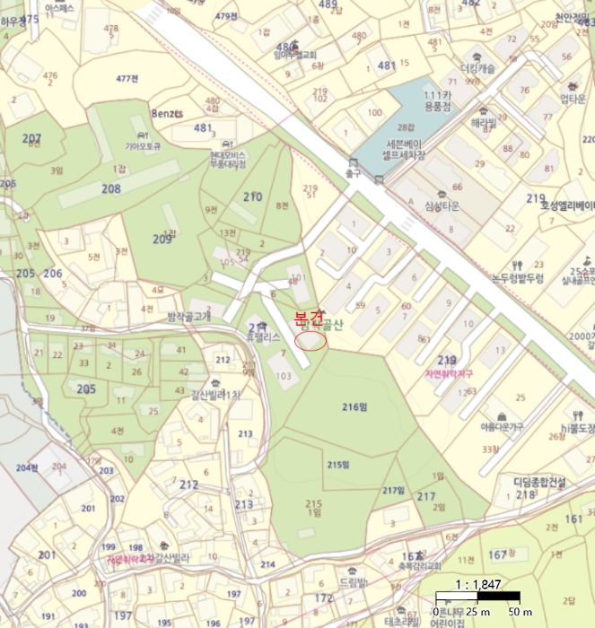 사진 2