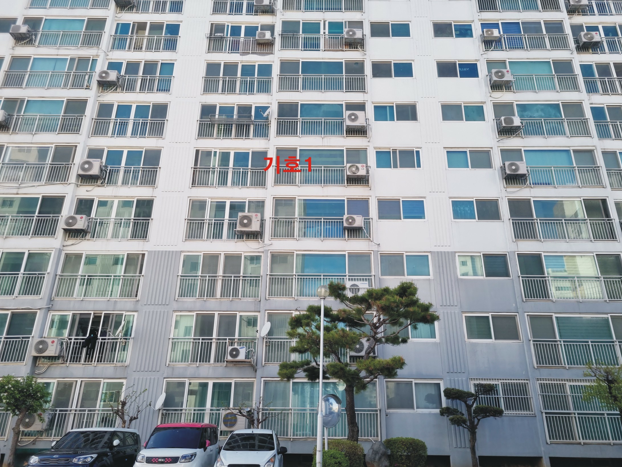 사진 1