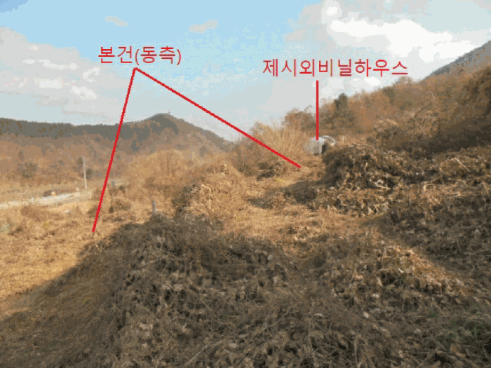 사진 11