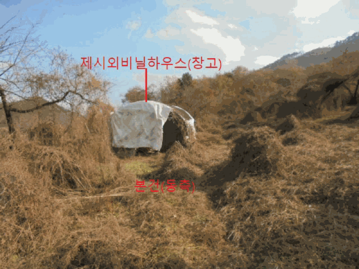 사진 10