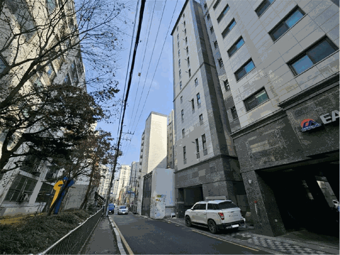 사진 12