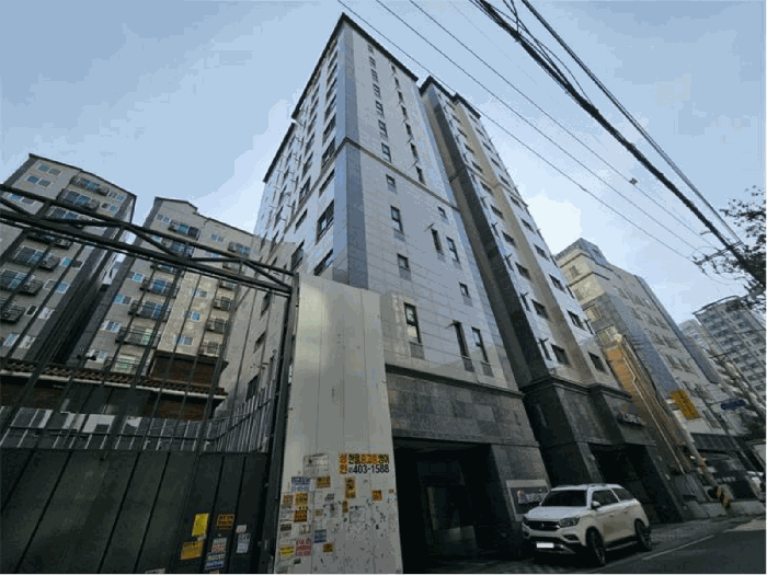 사진 5
