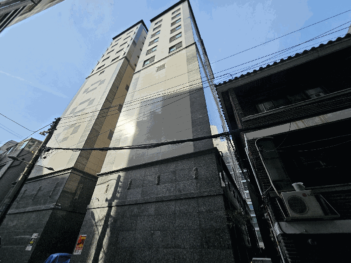 사진 8