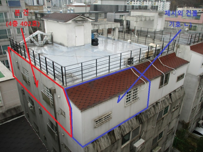 사진 11