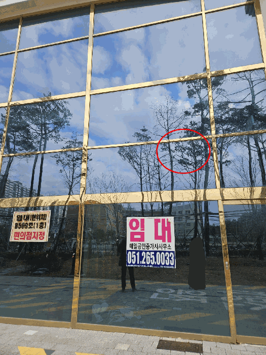사진 2