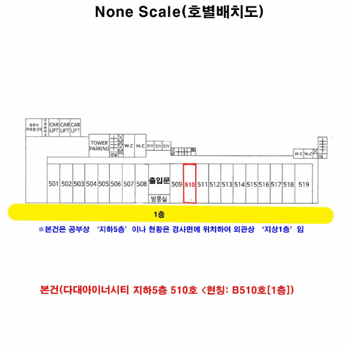 사진 10