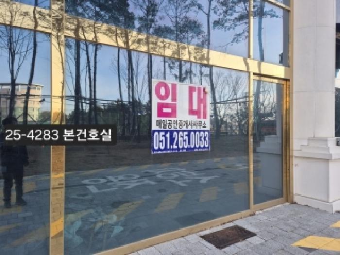 사진 13