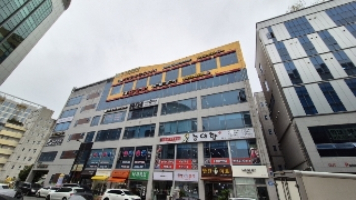 사진 8