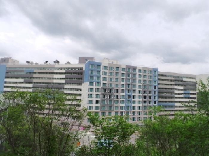 사진 4