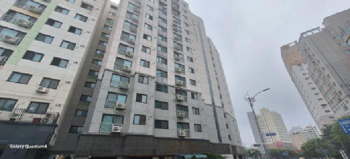 사진 2