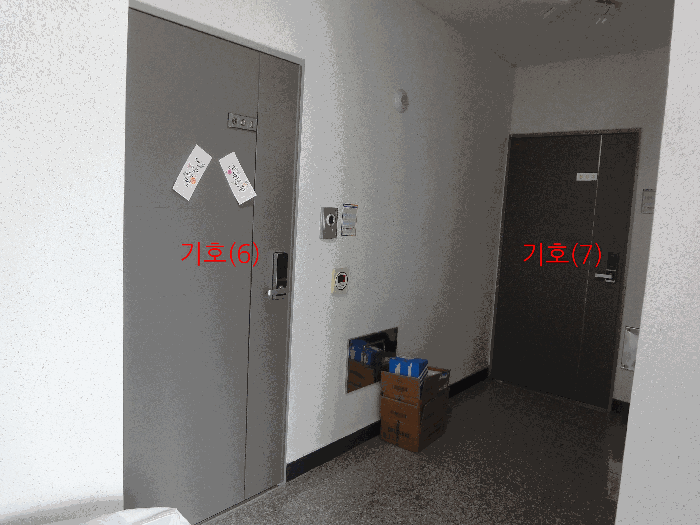 사진 11