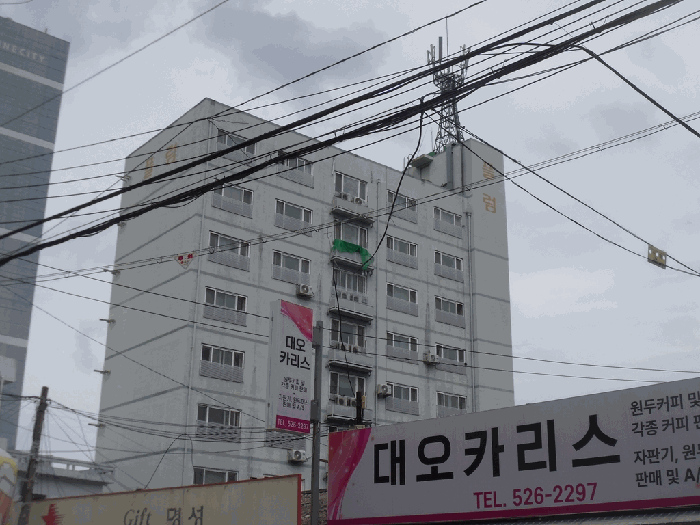 사진 10