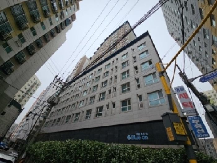 사진 12