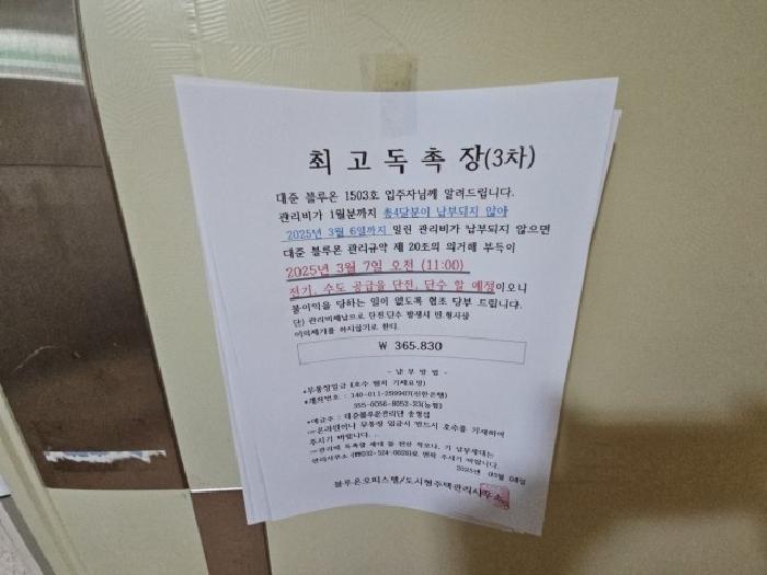 사진 16