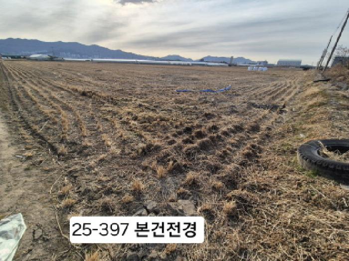 사진 7
