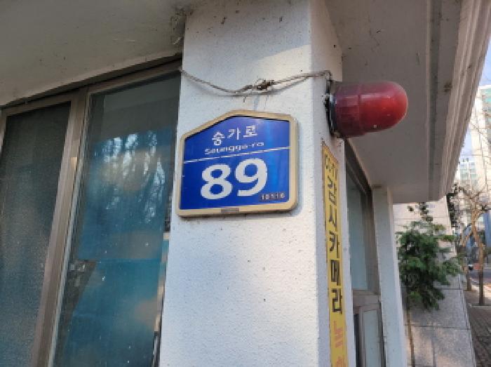 사진 10