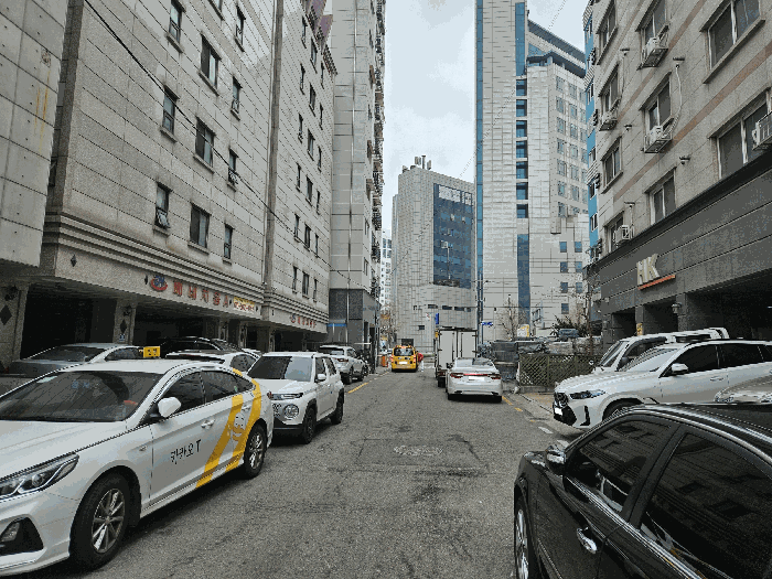 사진 10