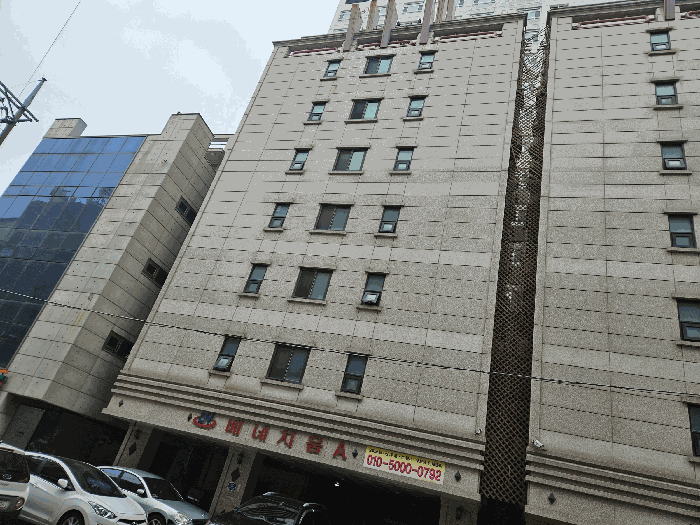 사진 5