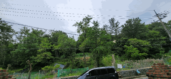 사진 1