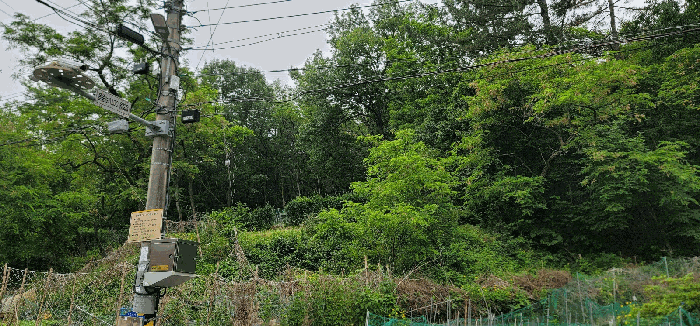 사진 7