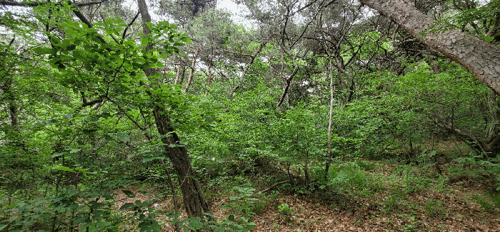 사진 8