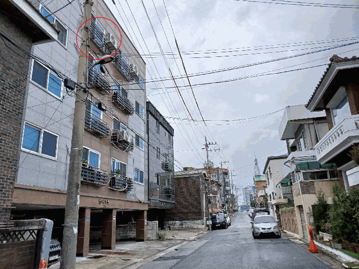 사진 7