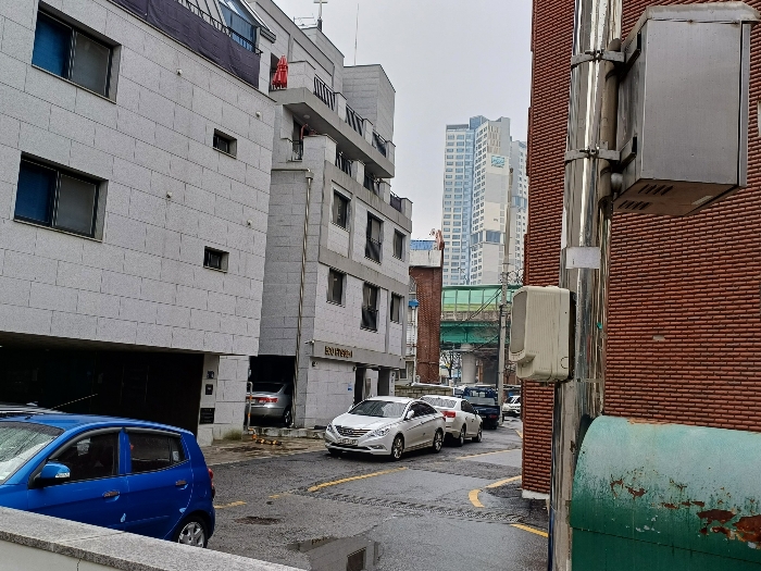 사진 21