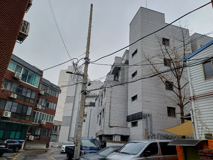 사진 24