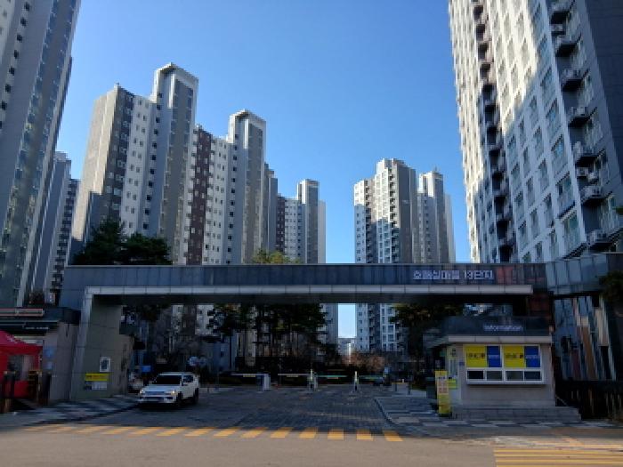 사진 1