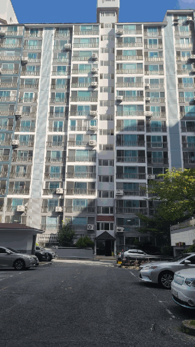 사진 3
