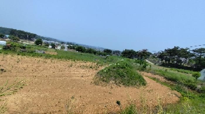 사진 2