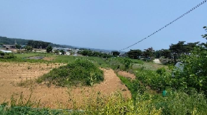 사진 4