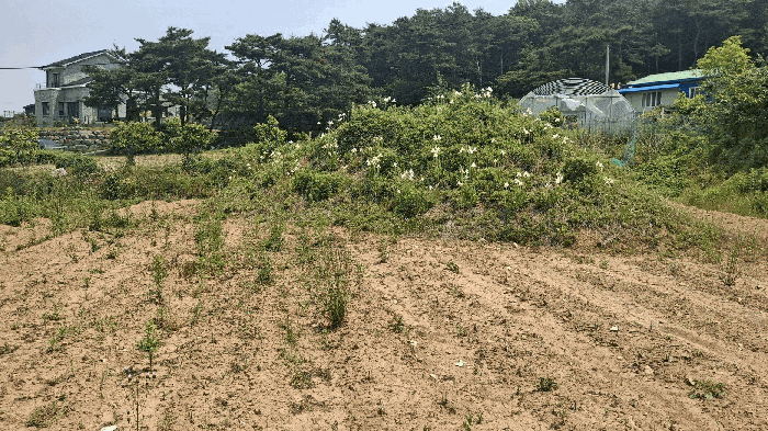 사진 7