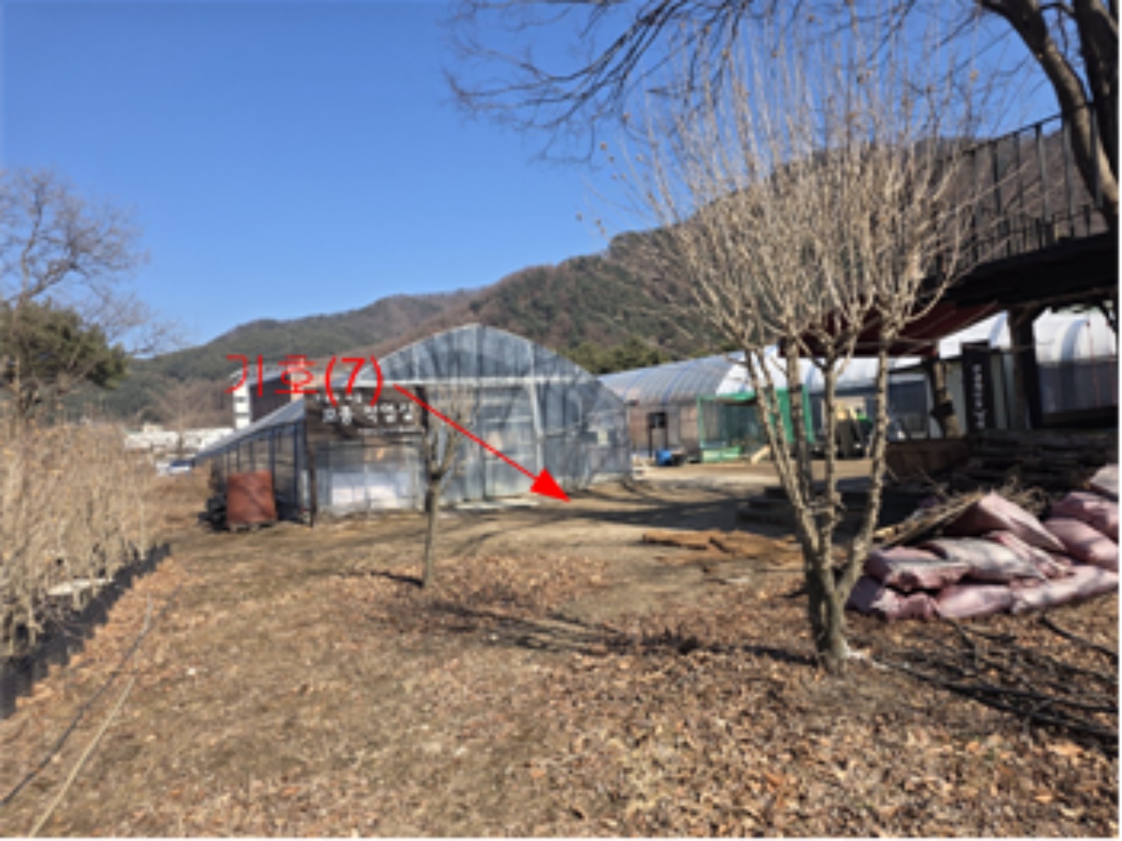 사진 1