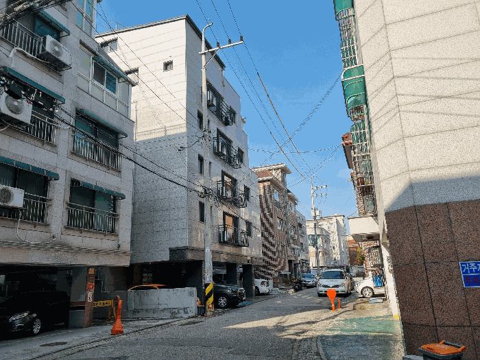 사진 8