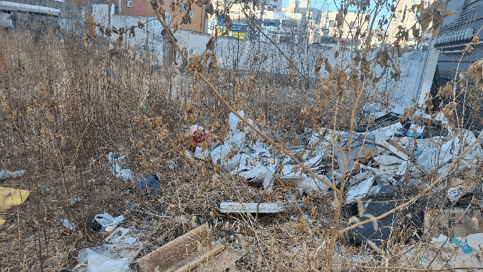 사진 1