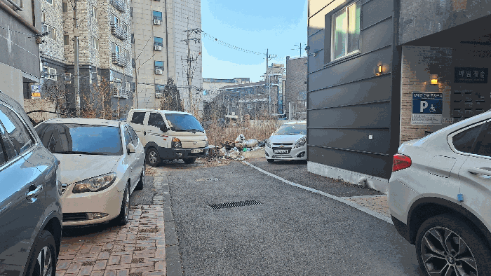 사진 5