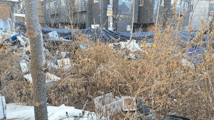 사진 6